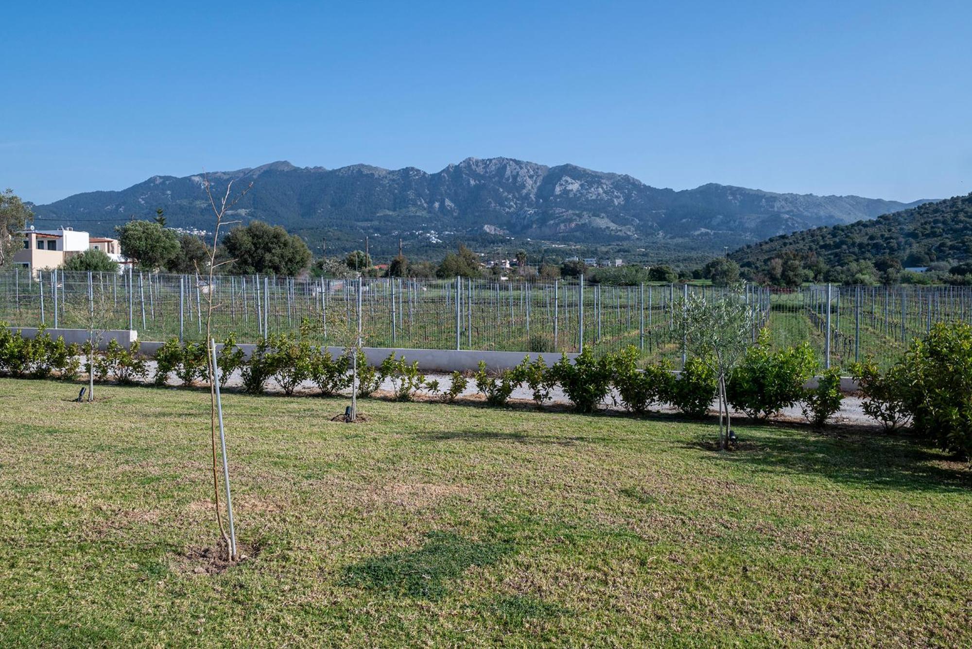 Olive Tree Garden Villa Linopotis Exterior photo